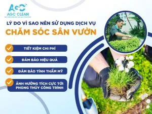 Sản phẩm z3749816111649_d7ec41c94c3a8308ac06f226b9c968d7 300x225 — Công Ty TNHH Thương Mại Và Dịch Vụ Vệ Sinh Công Nghiệp AGCCLEAN — MST 1702237354