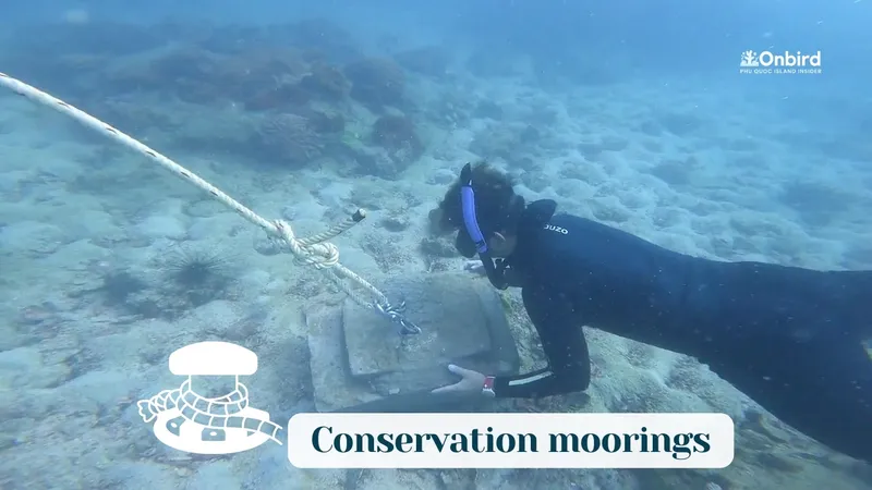 Sản phẩm Conservation moorings thumbnail — Du Lịch Khám Phá Onbird - Công Ty TNHH Du Lịch Dịch Vụ Và Thương Mại Núi San Hô — MST 1702247183