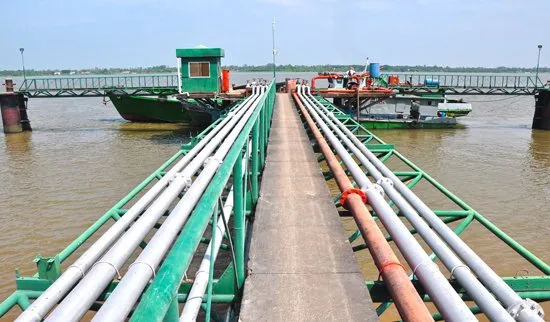Sản phẩm cau cang 2 — Công Ty TNHH Sản Xuất Và Kinh Doanh Phúc Thành — MST 1800278535