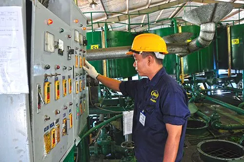 Sản phẩm sx 2 — Công Ty TNHH Sản Xuất Và Kinh Doanh Phúc Thành — MST 1800278535