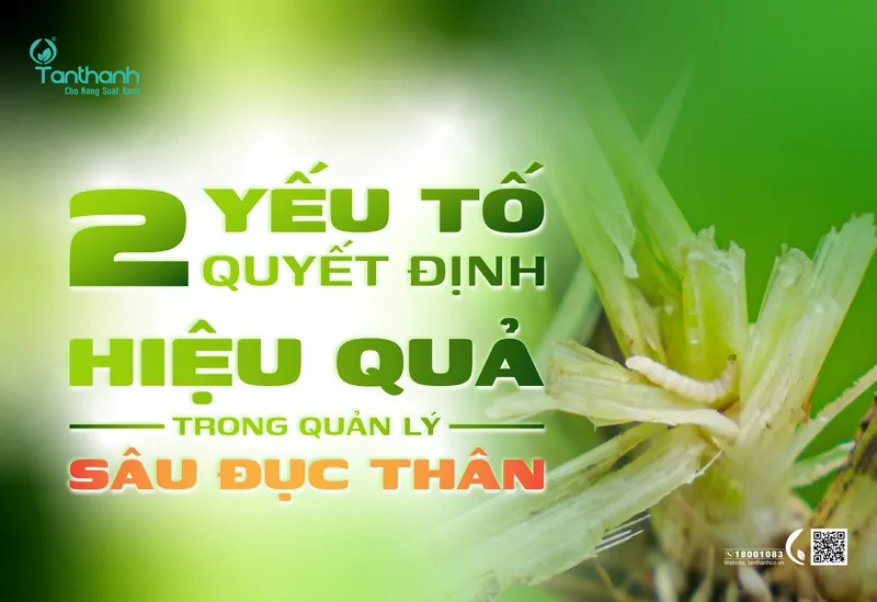 Sản phẩm 500x343 2 1 scaled — Công Ty TNHH Thương Mại Tân Thành — MST 1800297954