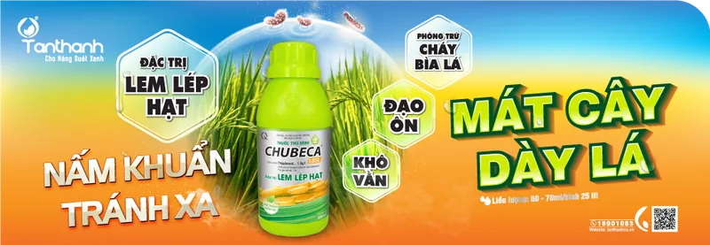 Sản phẩm Anh Bia Web — Công Ty TNHH Thương Mại Tân Thành — MST 1800297954