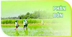 Sản phẩm H1 — Công Ty TNHH Thương Mại Tân Thành — MST 1800297954