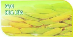 Sản phẩm H3 1 — Công Ty TNHH Thương Mại Tân Thành — MST 1800297954