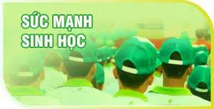 Sản phẩm H4 1 — Công Ty TNHH Thương Mại Tân Thành — MST 1800297954