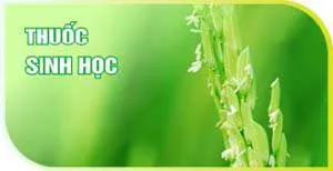 Sản phẩm H6 2 — Công Ty TNHH Thương Mại Tân Thành — MST 1800297954