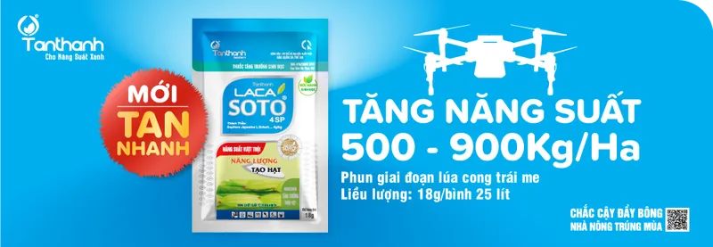 Sản phẩm Lacasoto — Công Ty TNHH Thương Mại Tân Thành — MST 1800297954