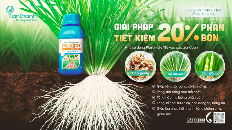 Sản phẩm Plastimula 1SL tiet kiem phan bon 20 1 — Công Ty TNHH Thương Mại Tân Thành — MST 1800297954