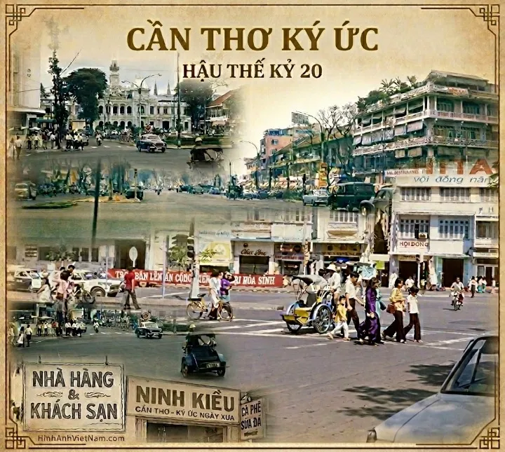 Sản phẩm CanThoHauKyUc — Vệ Sinh Công Nghiệp - Công Ty Dịch Vụ Oshin Thời Đại — MST 1800569654