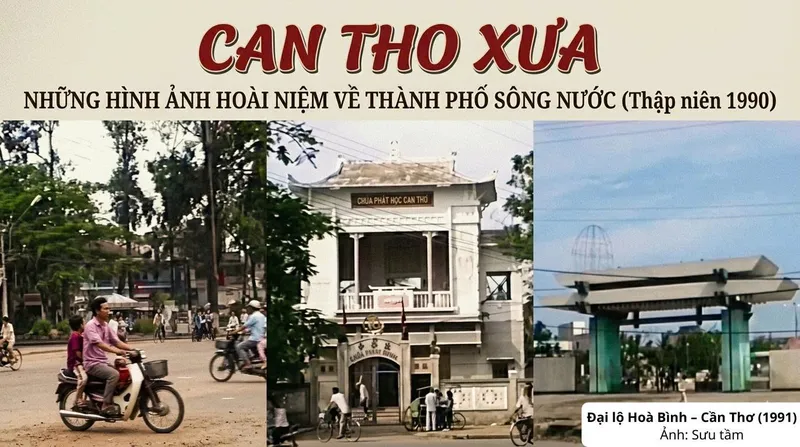 Sản phẩm canthoxua — Vệ Sinh Công Nghiệp - Công Ty Dịch Vụ Oshin Thời Đại — MST 1800569654