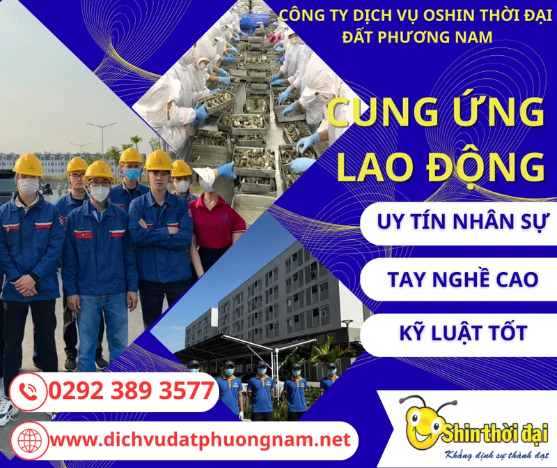 Sản phẩm CUNG UNG LAO DONG — Vệ Sinh Công Nghiệp - Công Ty Dịch Vụ Oshin Thời Đại — MST 1800569654