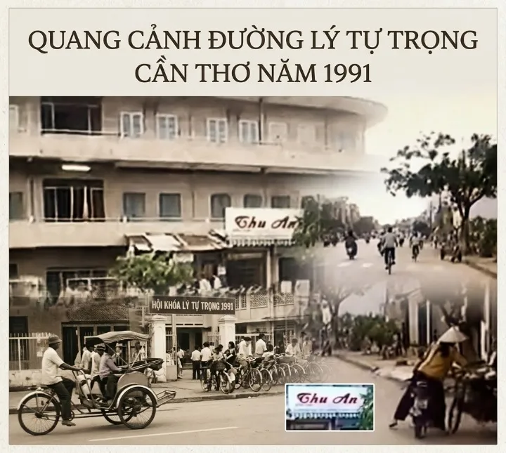 Sản phẩm DuongLyTuTrong1 — Vệ Sinh Công Nghiệp - Công Ty Dịch Vụ Oshin Thời Đại — MST 1800569654