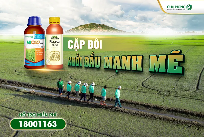 Sản phẩm 604545264_1342367467931183_9088295072452195836_n — Thuốc Bảo Vệ Thực Vật Phú Nông - Công Ty TNHH Phú Nông — MST 1800630041