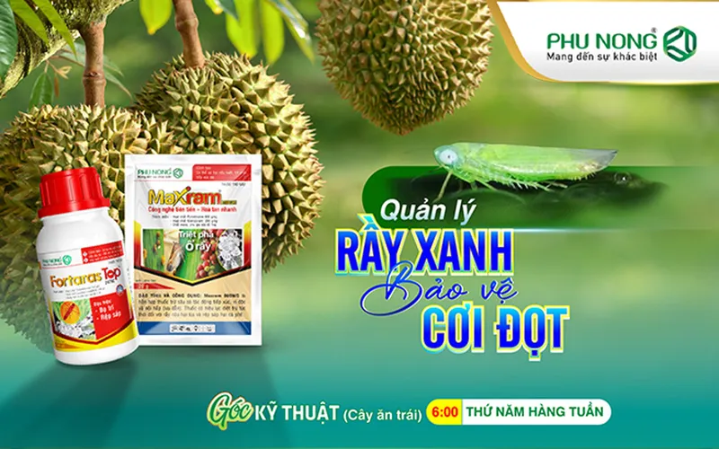Sản phẩm boiVeCoiDot_thumb — Thuốc Bảo Vệ Thực Vật Phú Nông - Công Ty TNHH Phú Nông — MST 1800630041