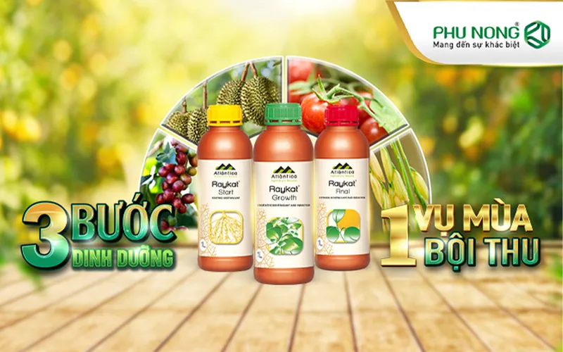 Sản phẩm home_img_vie_raykat_update 2 — Thuốc Bảo Vệ Thực Vật Phú Nông - Công Ty TNHH Phú Nông — MST 1800630041