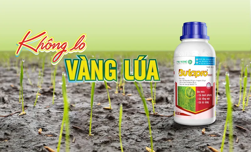 Sản phẩm spnb_02 — Thuốc Bảo Vệ Thực Vật Phú Nông - Công Ty TNHH Phú Nông — MST 1800630041