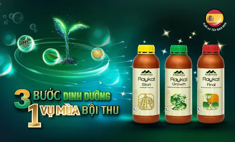 Sản phẩm spnb_08 — Thuốc Bảo Vệ Thực Vật Phú Nông - Công Ty TNHH Phú Nông — MST 1800630041