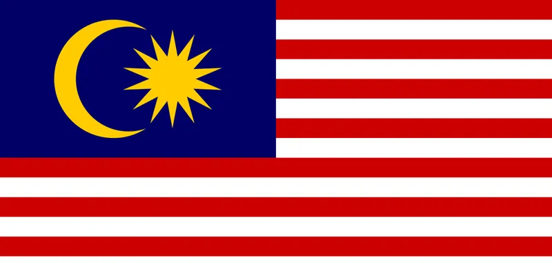 Sản phẩm MY flag — Công Ty TNHH Sấu Con — MST 1800649719