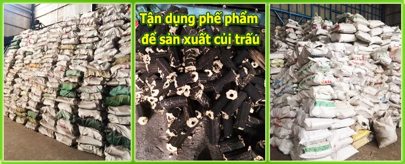 Sản phẩm cuitrau — Vạn Lợi Food - Công Ty TNHH MTV Chế Biến Lương Thực Vạn Lợi — MST 1801092702