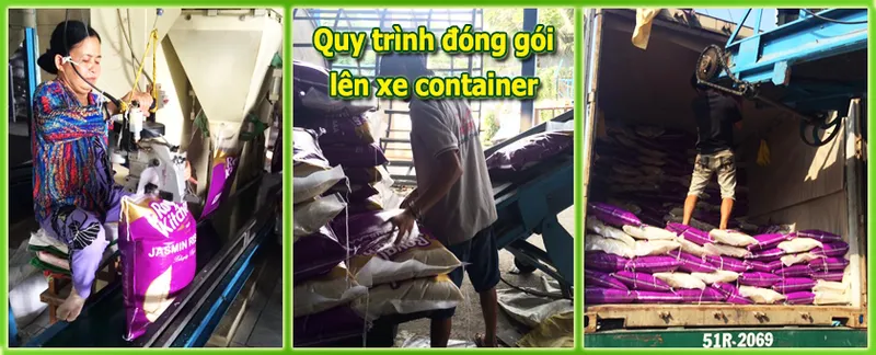 Sản phẩm gao thom 5kg — Vạn Lợi Food - Công Ty TNHH MTV Chế Biến Lương Thực Vạn Lợi — MST 1801092702