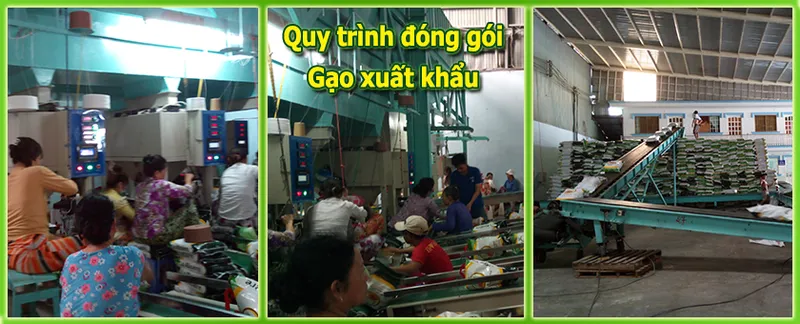 Sản phẩm gaoxuatkhau — Vạn Lợi Food - Công Ty TNHH MTV Chế Biến Lương Thực Vạn Lợi — MST 1801092702