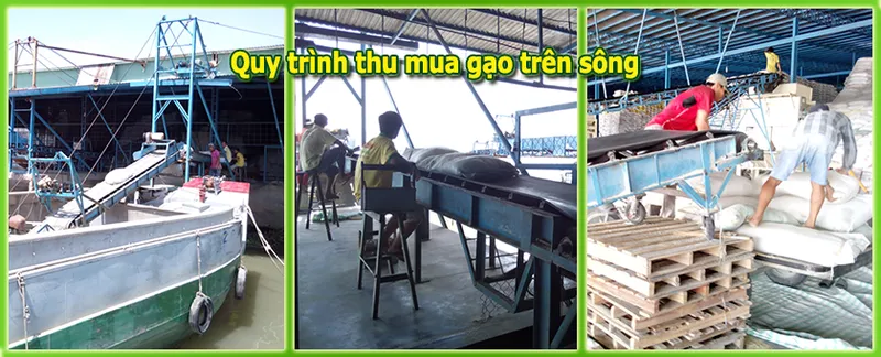 Sản phẩm thumuagao — Vạn Lợi Food - Công Ty TNHH MTV Chế Biến Lương Thực Vạn Lợi — MST 1801092702