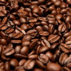 Sản phẩm arabica 50411573877791 — Copha Coffee - Công Ty TNHH Lê Châu — MST 1801173253