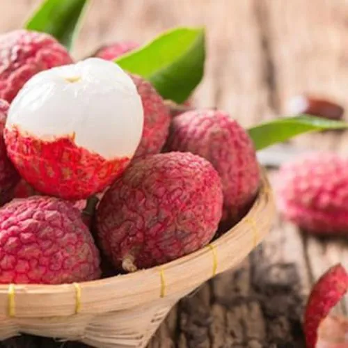 Sản phẩm tac dung cua trai vai 721679728720 — Copha Coffee - Công Ty TNHH Lê Châu — MST 1801173253