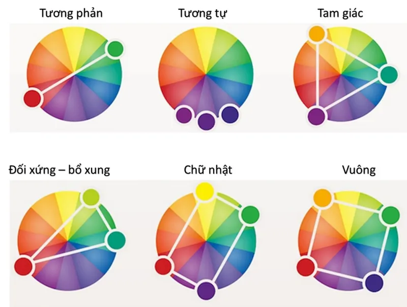 Sản phẩm cach chon vong mau 1024x772 — Công ty TNHH Một Thành Viên Thương Mại Dịch Vụ Xây Dựng Thành Nghiệp — MST 1801212431