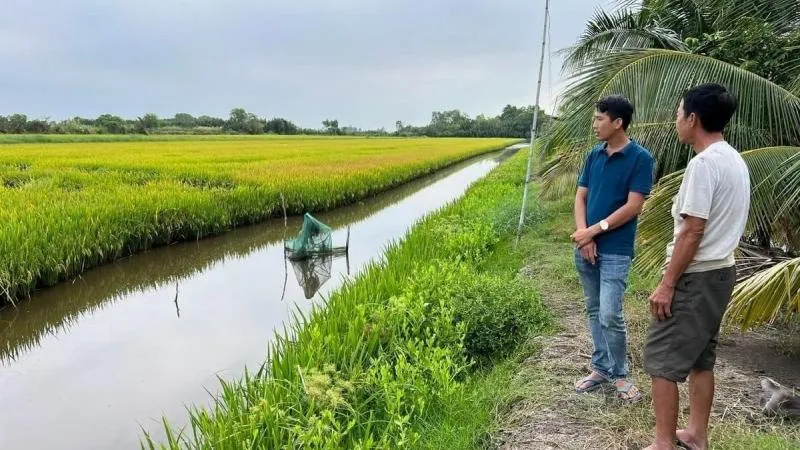 Sản phẩm ca mau xay dung thuong hieu lua thom tom sach va thu hut dau tu chuoi gia tri 731758188022 — Công Ty TNHH Công Nghệ NHONHO — MST 1801287028