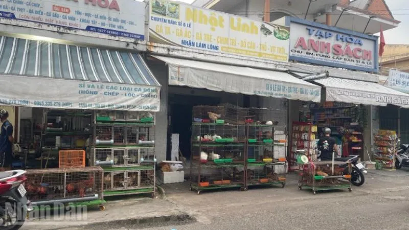 Sản phẩm tang cuong quan ly co so kinh doanh thuc pham tu phat 431756872580 — Công Ty TNHH Công Nghệ NHONHO — MST 1801287028