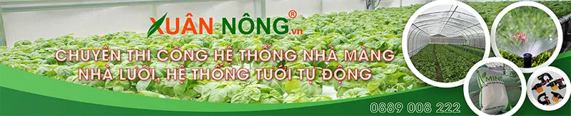Sản phẩm sl4 — Công Ty TNHH Đầu Tư Và Phát Triển Nông Nghiệp Xuân Nông — MST 1801466965