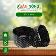 Sản phẩm bau uom cay_214x214 — Công Ty TNHH Đầu Tư Và Phát Triển Nông Nghiệp Xuân Nông — MST 1801466965