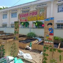 Sản phẩm vuon rau cua be132589929_214x214 — Công Ty TNHH Đầu Tư Và Phát Triển Nông Nghiệp Xuân Nông — MST 1801466965