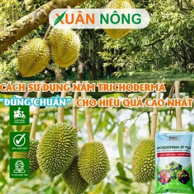 Sản phẩm 3200258ab44f4d411d4a87a39ca26454_S — Công Ty TNHH Đầu Tư Và Phát Triển Nông Nghiệp Xuân Nông — MST 1801466965
