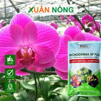 Sản phẩm f91ed22a5893e89cb733416d56a8c736_S — Công Ty TNHH Đầu Tư Và Phát Triển Nông Nghiệp Xuân Nông — MST 1801466965