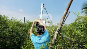 Sản phẩm htx taohong_2 300x169 — Công Ty TNHH MTV Công Nghệ Eplusi — MST 1801477558