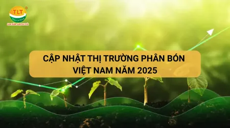 Sản phẩm cap nhat thi truong phan bon viet nam nam 2025 681749113023 — Gia Công Phân Bón Thiên Lộc Thắng - Công Ty TNHH Nông Nghiệp Thiên Lộc Thắng — MST 1801501715