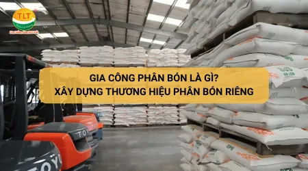 Sản phẩm gia cong phan bon la gi xay dung thuong hieu phan bon rieng trong 30 ngay 431749456024 — Gia Công Phân Bón Thiên Lộc Thắng - Công Ty TNHH Nông Nghiệp Thiên Lộc Thắng — MST 1801501715