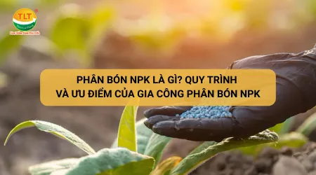 Sản phẩm phan bon npk la gi quy trinh va uu diem cua gia cong phan bon npk 721749174108 — Gia Công Phân Bón Thiên Lộc Thắng - Công Ty TNHH Nông Nghiệp Thiên Lộc Thắng — MST 1801501715