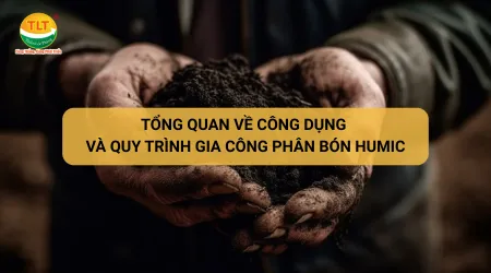 Sản phẩm tong quan ve cong dung va quy trinh gia cong phan bon humic 381749174932 — Gia Công Phân Bón Thiên Lộc Thắng - Công Ty TNHH Nông Nghiệp Thiên Lộc Thắng — MST 1801501715