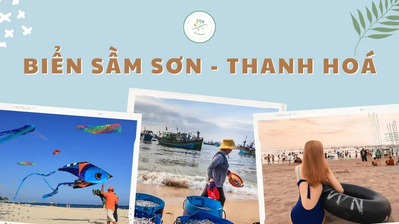Sản phẩm bien sam son — Công Ty CP Thương Mại Du Lịch Nụ Cười Mê Kông — MST 1801511350