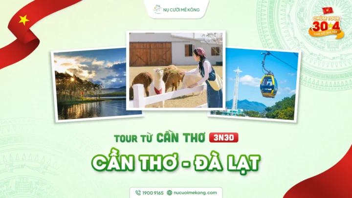 Sản phẩm can tho da lat 3n2d 720x405 — Công Ty CP Thương Mại Du Lịch Nụ Cười Mê Kông — MST 1801511350