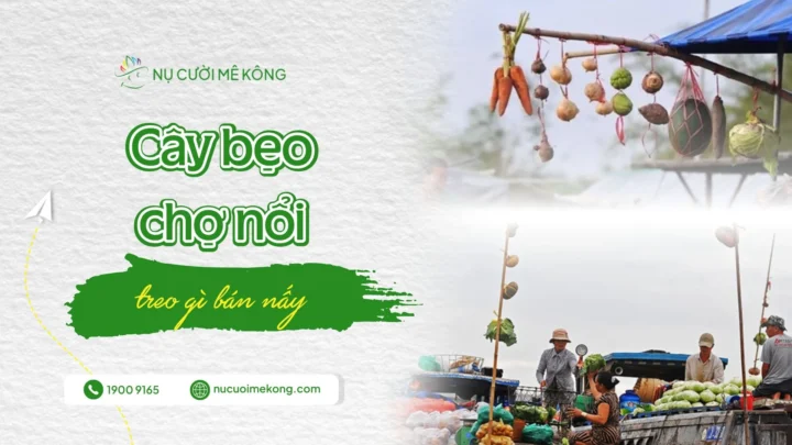 Sản phẩm cay be cho noi nu cuoi me kong 720x405 — Công Ty CP Thương Mại Du Lịch Nụ Cười Mê Kông — MST 1801511350