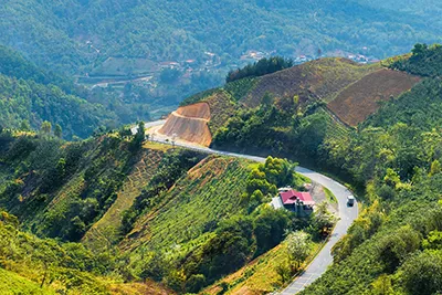 Sản phẩm Dien Bien — Công Ty CP Thương Mại Du Lịch Nụ Cười Mê Kông — MST 1801511350