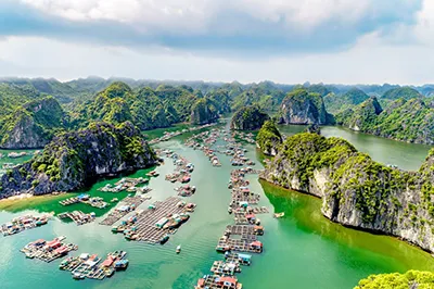 Sản phẩm Hai Phong — Công Ty CP Thương Mại Du Lịch Nụ Cười Mê Kông — MST 1801511350