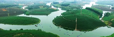 Sản phẩm Nghe An — Công Ty CP Thương Mại Du Lịch Nụ Cười Mê Kông — MST 1801511350