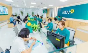 Sản phẩm BIDV DBSCL 1 300x180 — Công Ty TNHH Dịch Vụ Vệ Sinh Gia Nguyễn — MST 1801541193