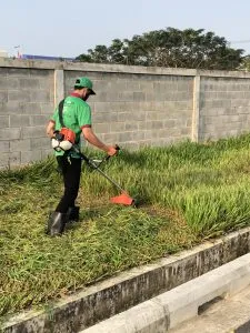 Sản phẩm Dich vu phat co o Can Tho 3 225x300 — Công Ty TNHH Dịch Vụ Vệ Sinh Gia Nguyễn — MST 1801541193