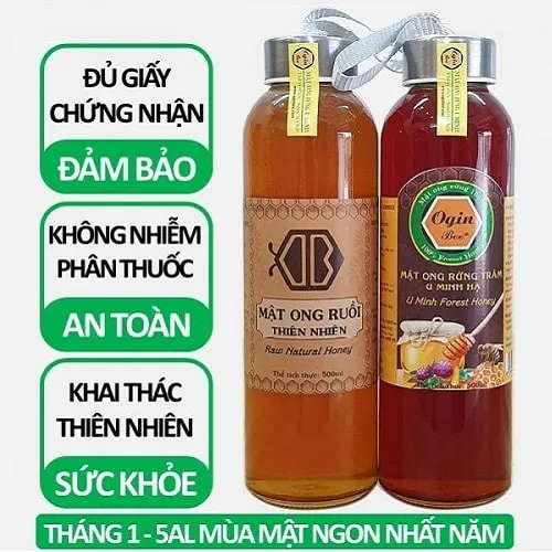 Sản phẩm mat ong ruoi va mat ong rung u minh combo 500ml — Mật Ong Rừng Oginbee - Công Ty TNHH TM DV Mật Ong Rừng Oginbee — MST 1801590627